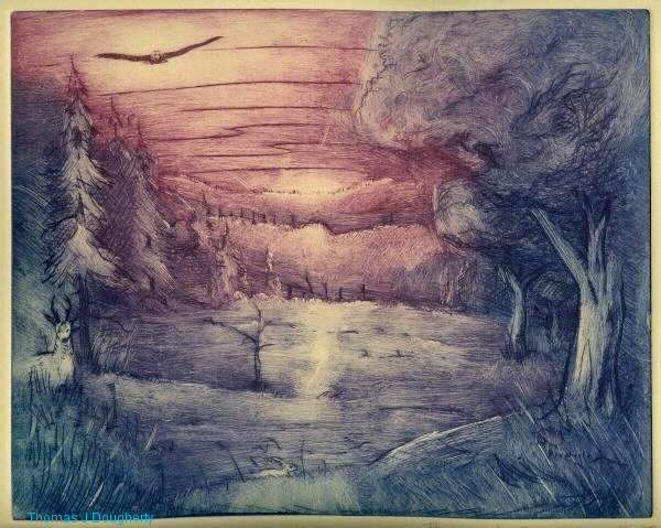 Eagle Landscape